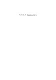 [디자인프로세스]시넥틱스 (synectics)