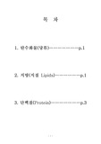 [영양학]3대 영양소