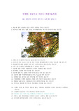 인생을 성공으로 이끄는 비결 95가지