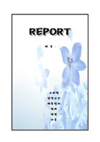 레포트 표지 17