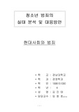 [사회과학]청소년 범죄의 실태분석 및 대응방안