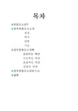[사회과학]경주문화도시