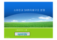 지배구조에 따른 소버린과 SK