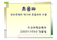 초음파란?