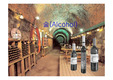 술(Alcohol)에 대한 모든것