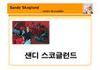 샌디 스코글런드