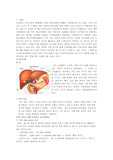 성인간호학 실습 간경화 case study
