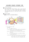 창의 공학 설계_초음파를 이용한 시각장애 극복