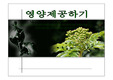 모유수유와 유아 영양제공에 관하여