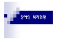 장애인 복지사업의 현황과 복지분야에 대한 검토