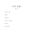 미국 문화