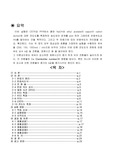촉매실험, 연속반응기