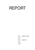 성장가능성이 높은 신 유통업태 `아울렛` 에대하여