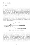 [화학과 물리화학 실험] Raman Spectroscopy (라만 분광법)
