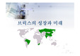 브릭스의 성장과 미래