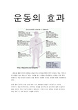 운동의 효과