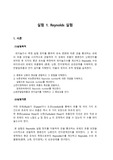 레이놀즈수 실험