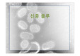 신종 플루
