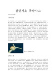 챌린저호 사고 원인 및 해결책