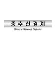 중추신경계
