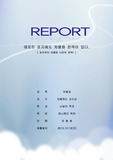 [항공 하늘]항공 레포트 표지(깔끔한 하늘 표지)