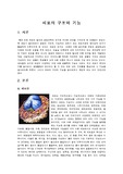 생명의 이해 레포트(세포, 생식기의 구조와 기능, 혈액형, 생명공학의 활용의 예)