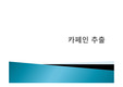 화학/유기화학/카페인 추출