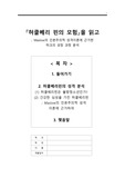 허클베리핀의 모험 분석