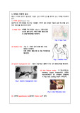 재활 프로그램 어깨입니다(A+자료)