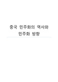 중국 민주화의 역사와 민주화 방향