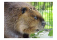 계획론 동물의주거 - 비버