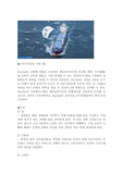 스카이세일 선박