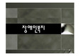 [장애인 성폭력] 장애인 성폭력의 실태와 원인 및 장애인 인권침해 사례, 문제점, 복지정책, 장애인 복지방안