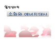소화와 에너지 대사