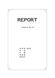 광고 분석 레포트