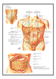 Gastrectomy