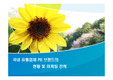 국내 유통업체 PB 브랜드의 현황 및 마케팅 전략