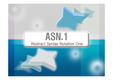 ASN_1이란?