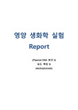 plasmid DNA 분리 및 DNA 농도 측정, 전기영동 레포트