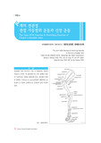개의 견관절 관절 가동범위 운동과 신장 운동