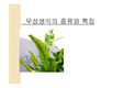 [생물학]【A+】무성색식