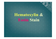 [조직학]【A+】Hematoxylin and Eosin Stain