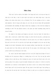 narrative essay 나레이티브 에세이