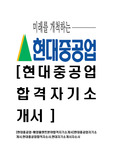 [현대중공업-해양플랜트분야합격자기소개서]현대중공업자기소개서,현대중공업합격자소서,현대자기소개서자소서