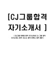 [CJ그룹 마케팅 합격 자기소개서] CJ 그룹 합격 자기소개서, 합격 자소서, 합격 이력서, 합격 예문