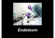 엔도톡신(Endotoxin)
