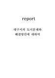 대구시의 도시문제와 해경방안에 대하여