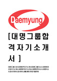 [대명그룹-최신공채합격자기소개서]대명그룹자소서,대명레저산업자기소개서,대명합격자기소개서,대명합격자소서,대명자소서,입사지원서,입사원서,샘플,예문,면접기출문제