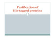 Purification of His-tagged proteins,단백질의 정제