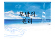 모발의 원리